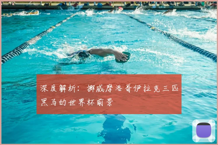 深度解析：挪威摩洛哥伊拉克三匹黑马的世界杯前景