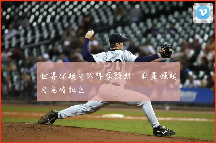 世界杯越南队阵容预测:新星崛起与老将担当