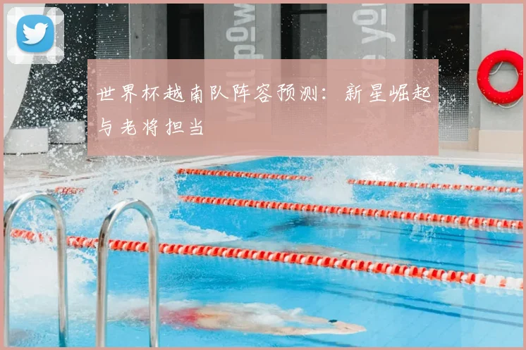 世界杯越南队阵容预测:新星崛起与老将担当